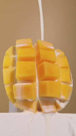 Vanilla Mango Hair Butter